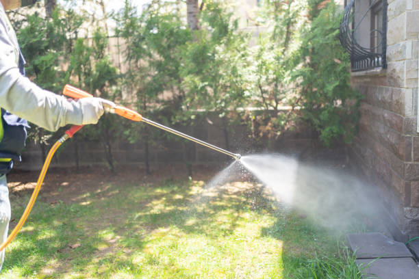 Best Ant Control Services  in Hampton, AR